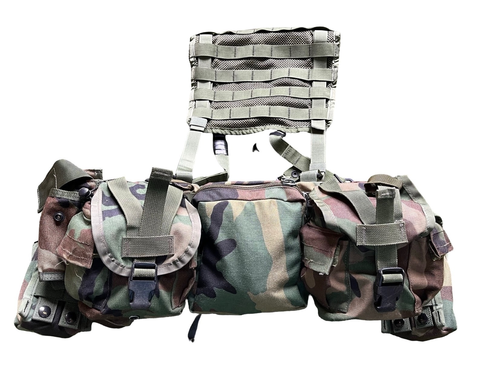 RARE OLDGEN SOF SPEAR Load Bearing Rig MOLLE M81 Woodland Camo Safariland ELCS