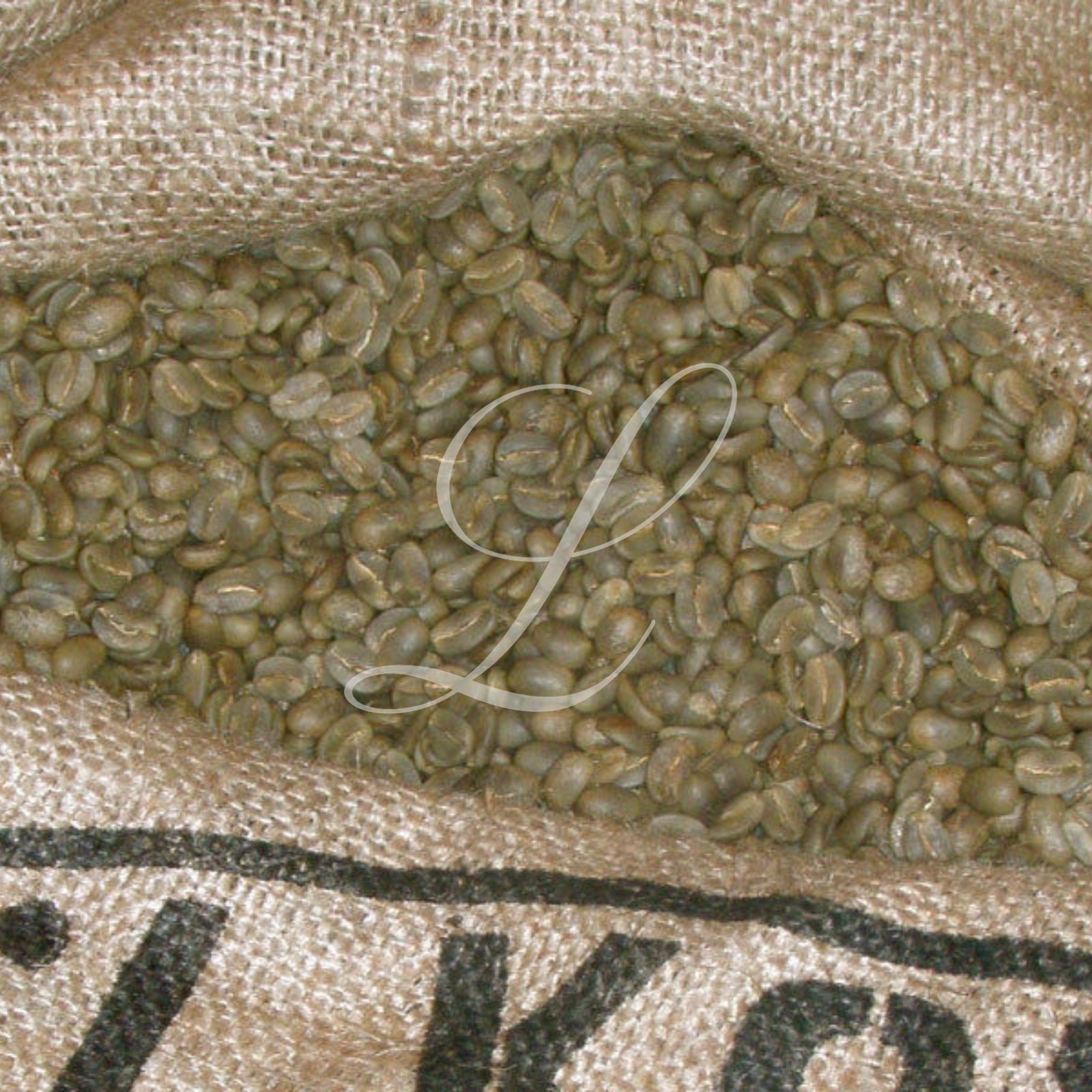 100% Kona Extra Fancy Coffee, 5 lbs, Green Beans or Medium Roasted to Order!
