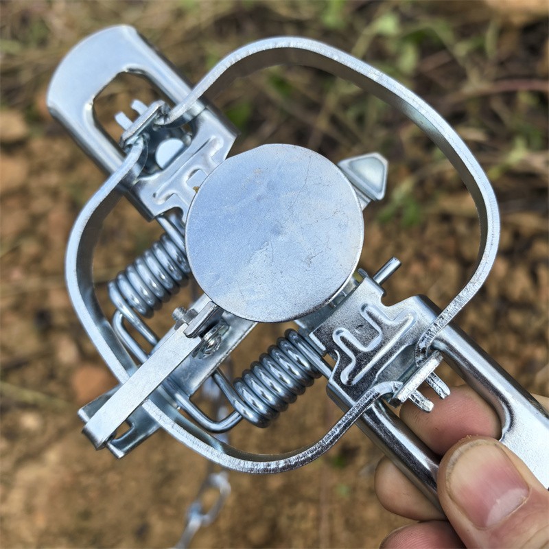 4-3/10 " Coil Spring Traps Raccoon Fox Nutria Muskrat Mink Rat Trapping Nuisance