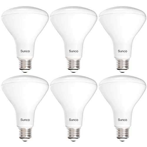 Sunco 6 Pack BR30 Light Bulbs LED, Recessed 6 Count (Pack of 1) White - 4000k