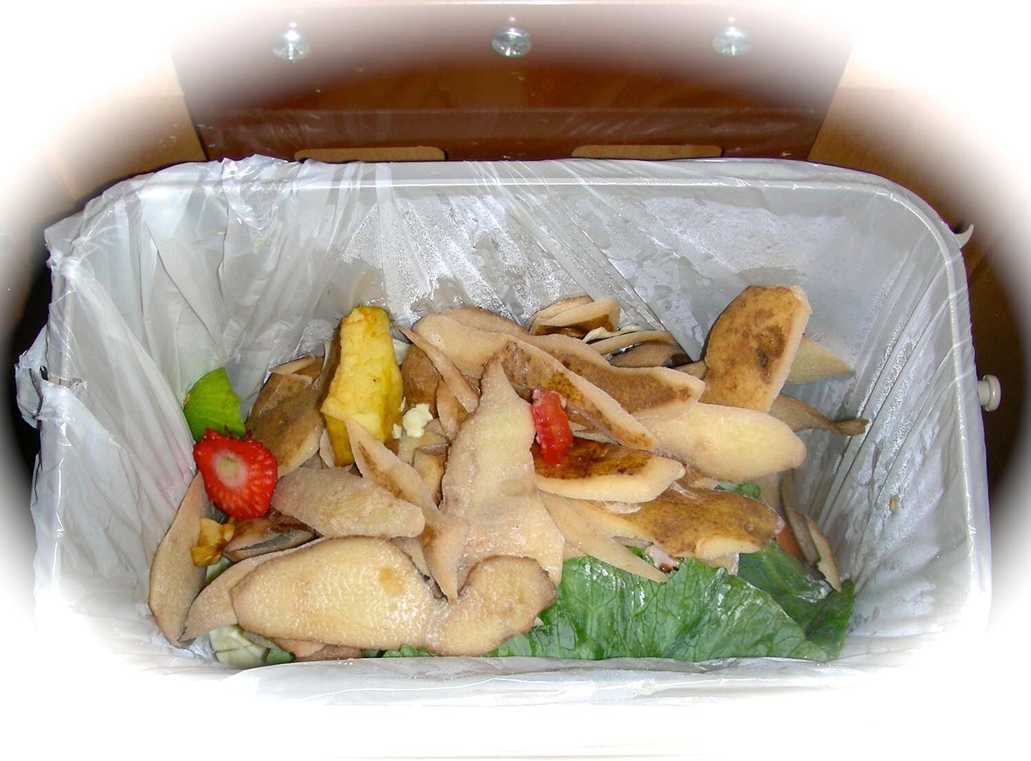 Compost Bin - Kitchen