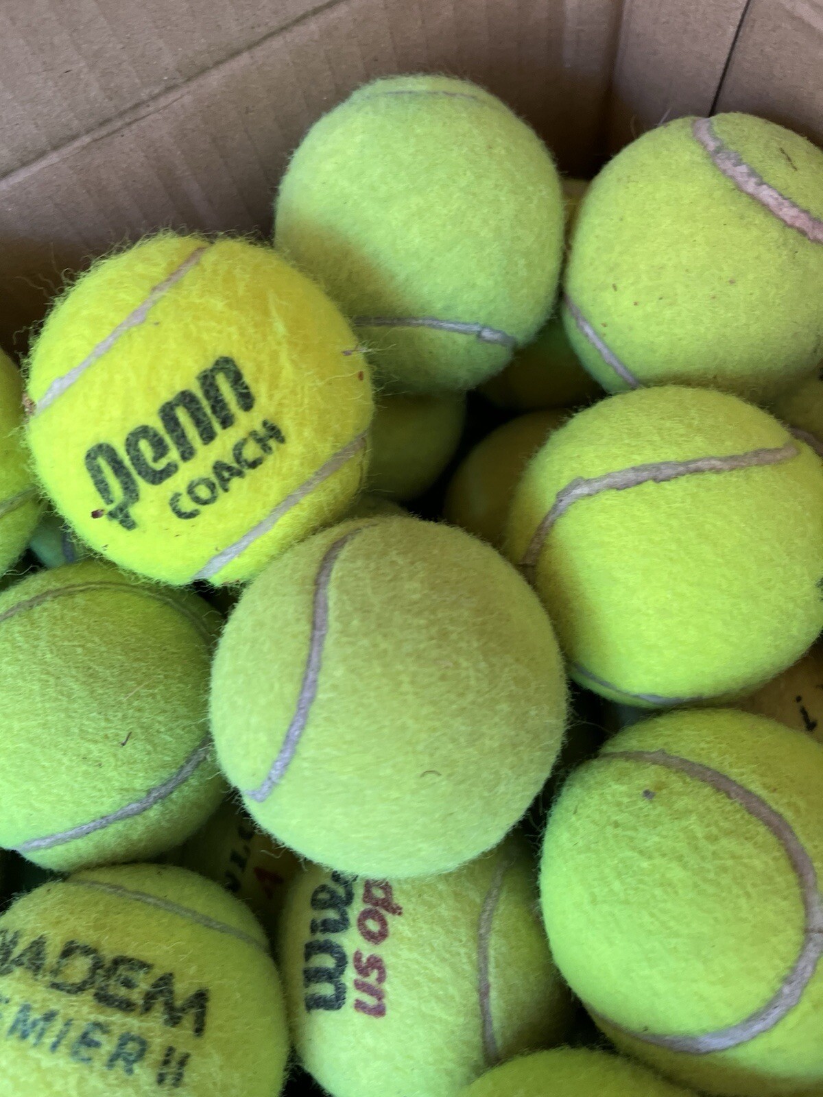 10 of Good Grade used Tennis Balls from Wilson, Dunlop, Penn, Head, etc Dog Toys