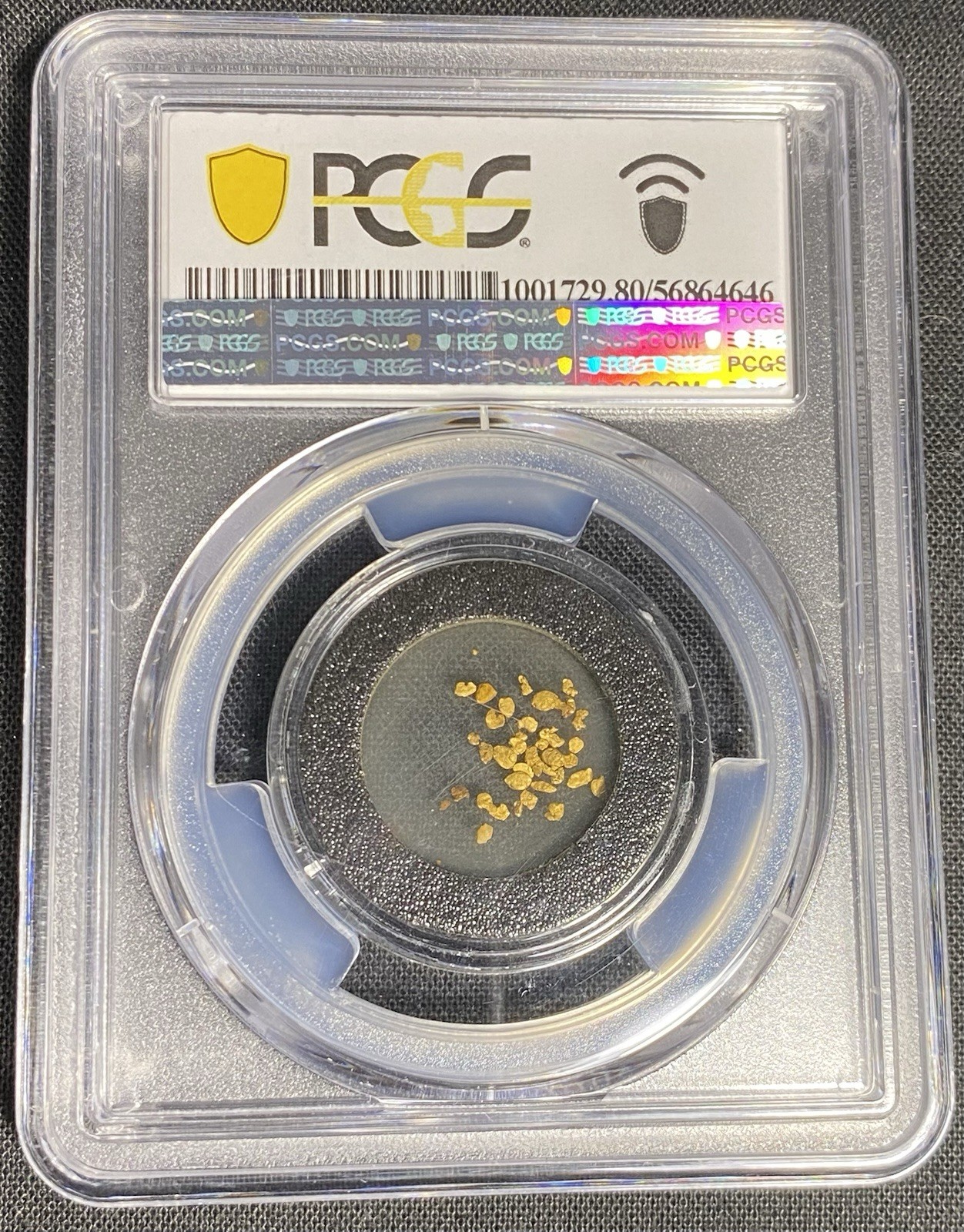 GOLD SS Central America SHIPWRECK 1857 SEA SALVAGED California Rush Nuggets PCGS