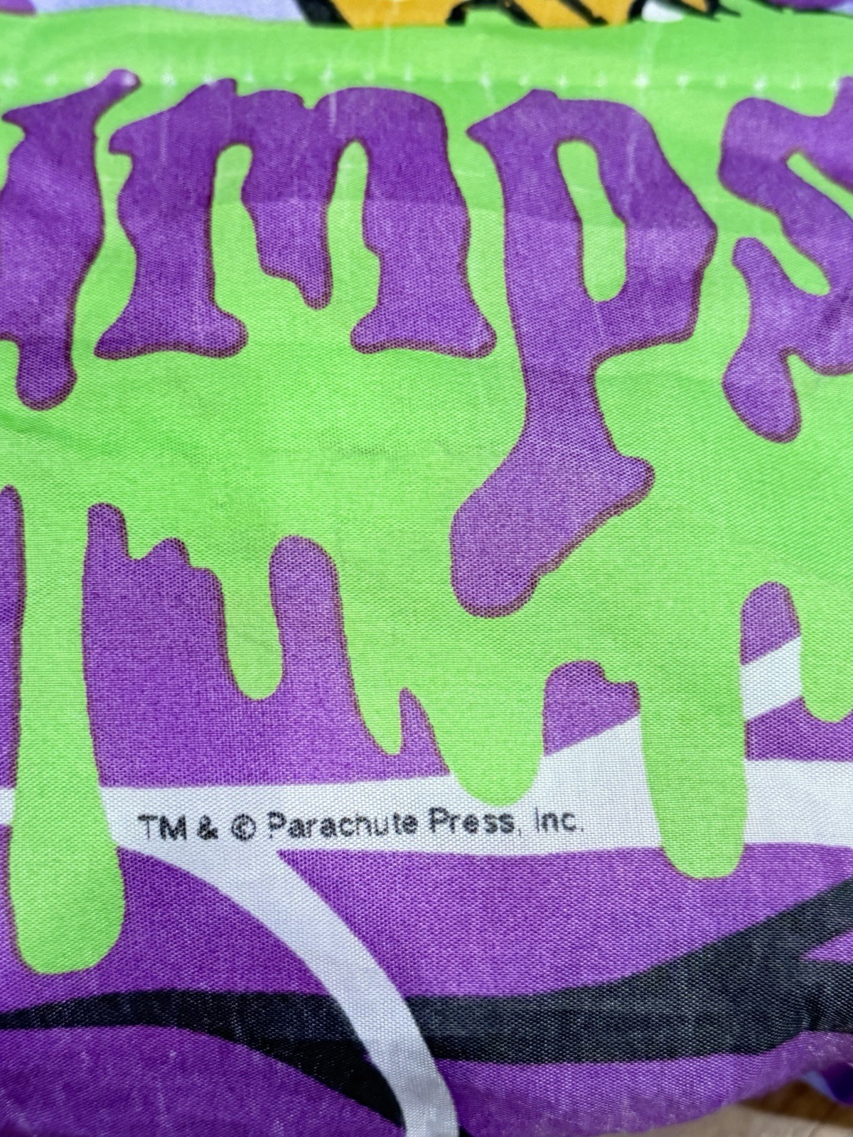 Vintage Goosebumps Skateboarding Mummy Sleeping Bag RL Stine Halloween 27x54