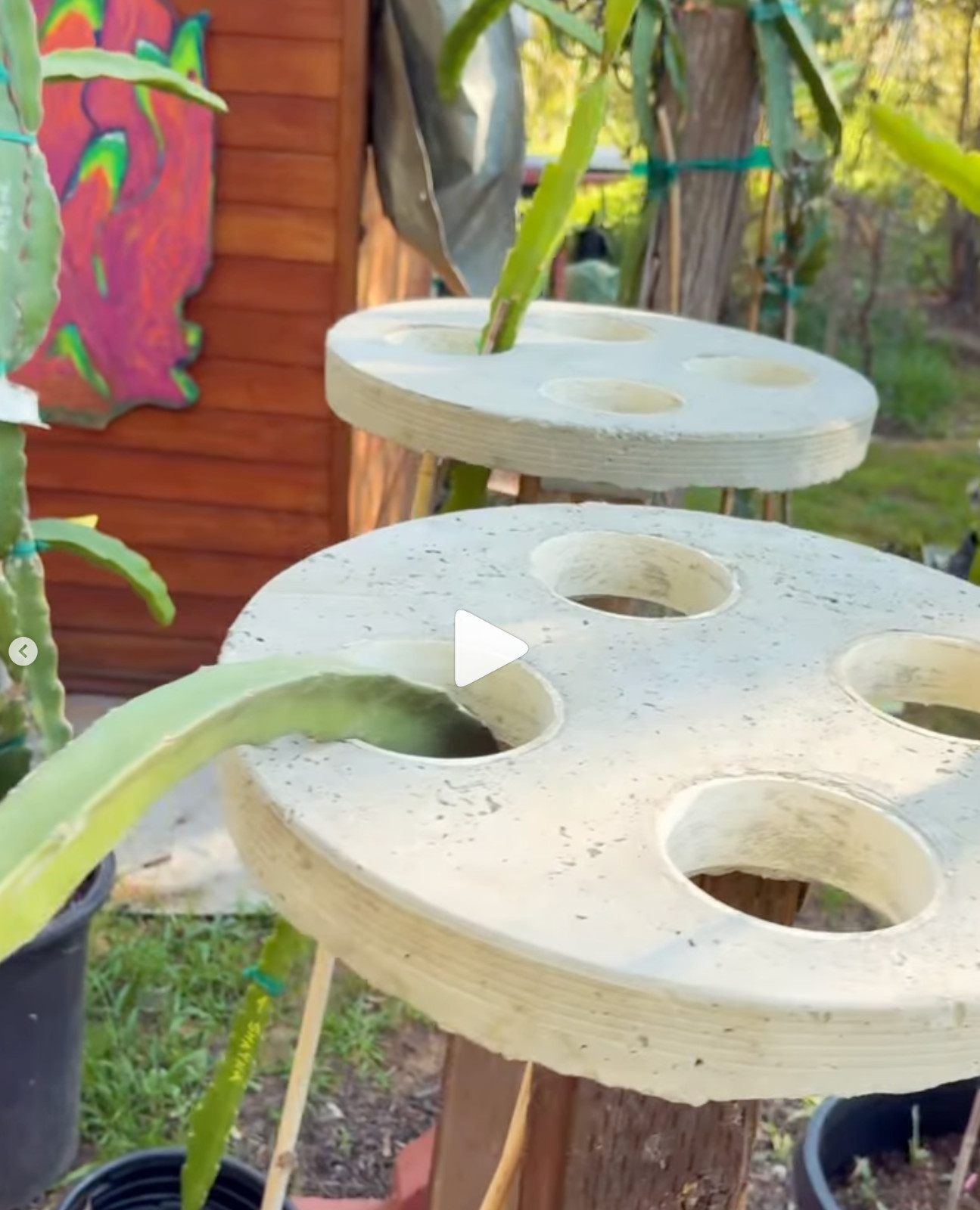 Dragon Fruit Trellis Topper with FREE LED SOLAR LIGHT Screw Direct to 4x4 Post