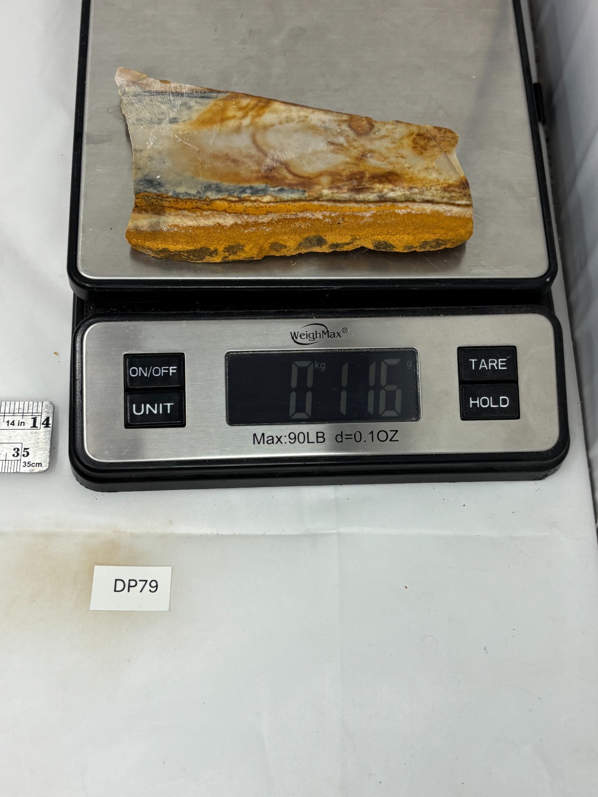 Disaster Peak Picture Jasper Slab Cabbing Lapidary Collecting Combo Ship Avail