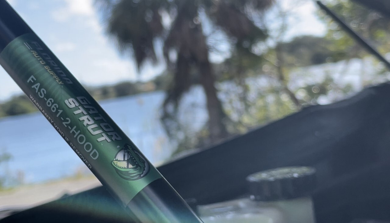 2 Deck Lid Compartment Lift Supports FAS-659 For 98-04 C5 Corvette Convertibles