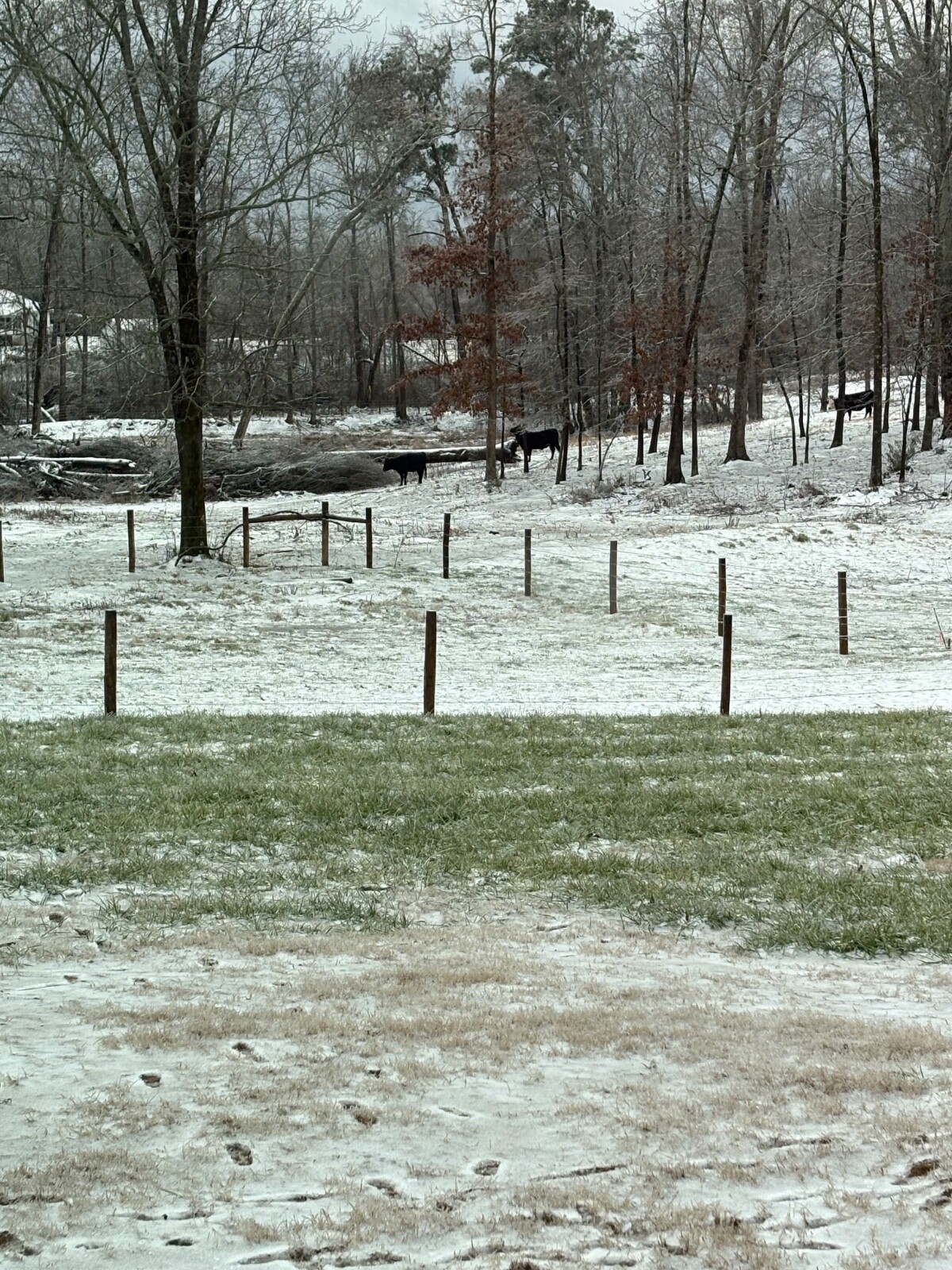 Mystery Farm Treasure – Real Surprise Item From a Small Family Farm!