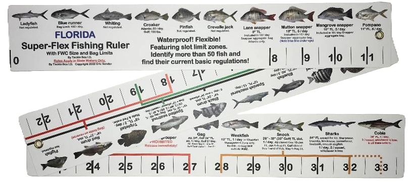 Super-Flex Fish ID & Regulations Ruler - Florida