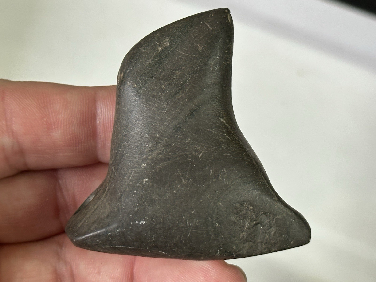 RARE AUTHENTIC BANDED SLATE BIRDSTONE FROM ASHLAND CO. OHIO, MOTLEY COA