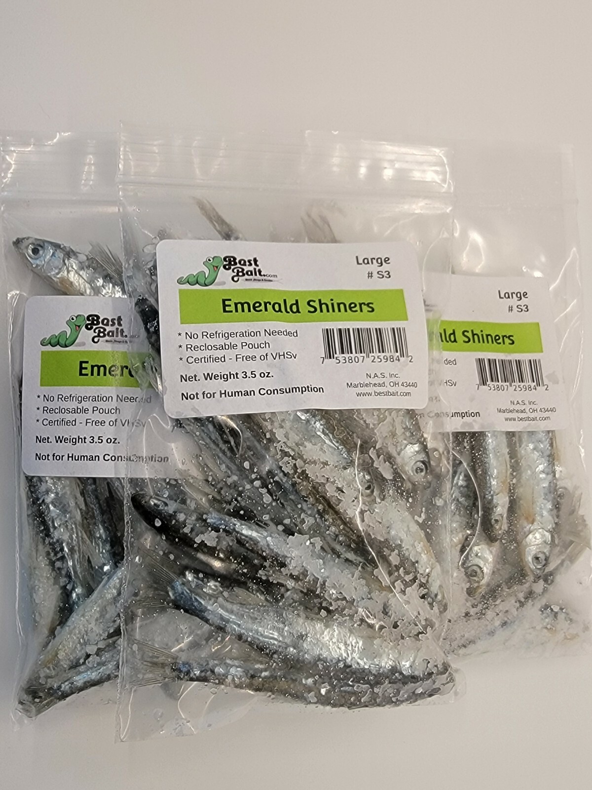 Bestbait Salted Emerald Shiners Preserved Minnows Free Shipping VHSv Free