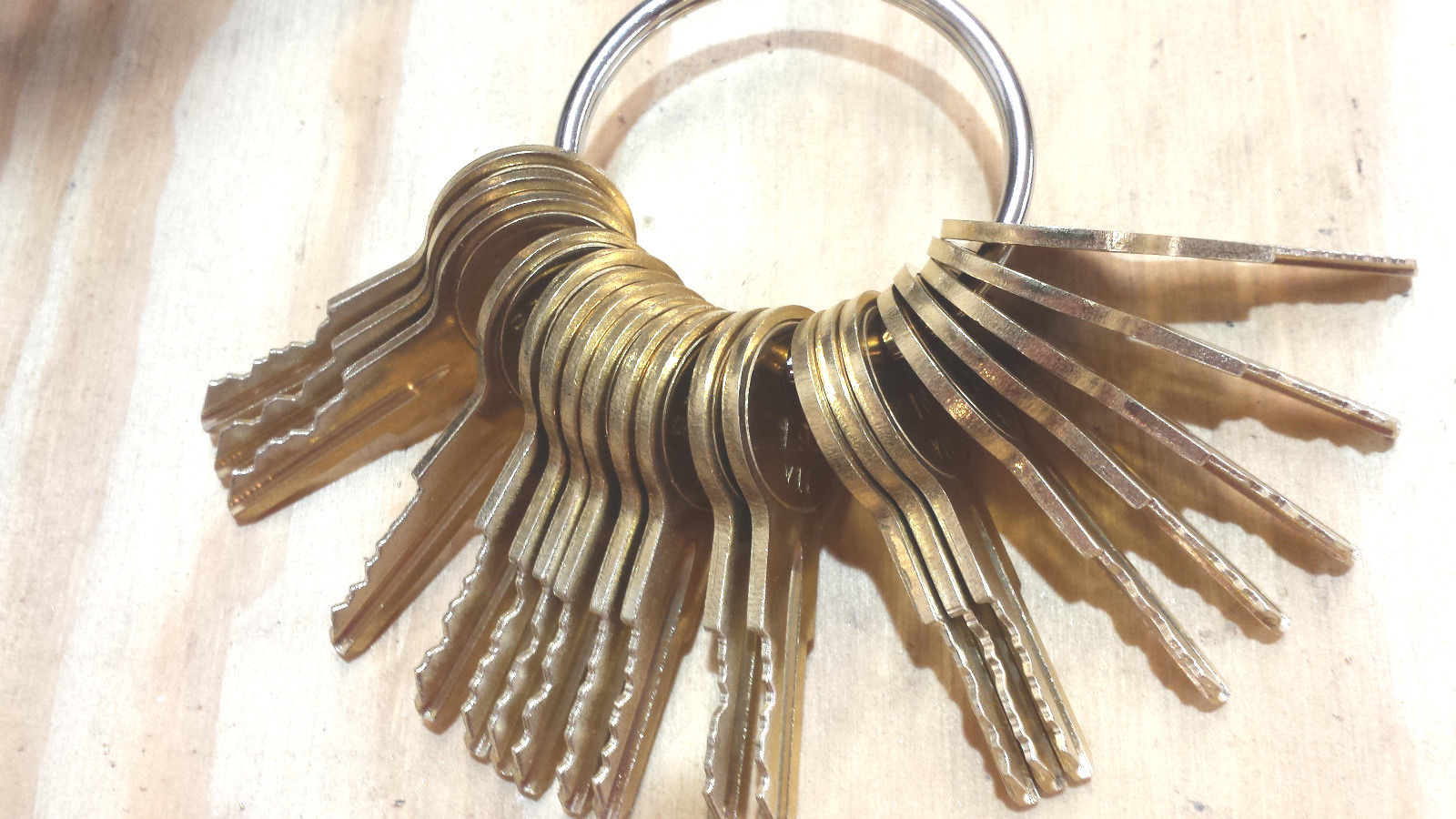 Detex Keys Full set 20 keys DT11 through DT30--CUT ON NEW BLANKS BY LOCKSMITH