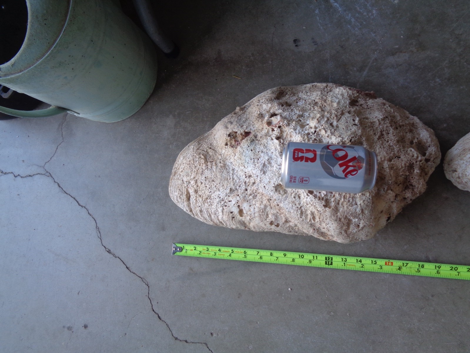 Tridacna Gigas Clam Shell Set Beautiful Matching Pair Giant Old Nautical Shells