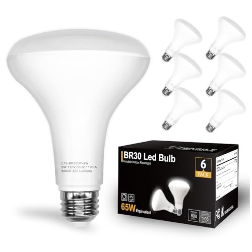 BR30 LED Light Bulbs Indoor Flood Light - 6 Pack 5000k Daylight White