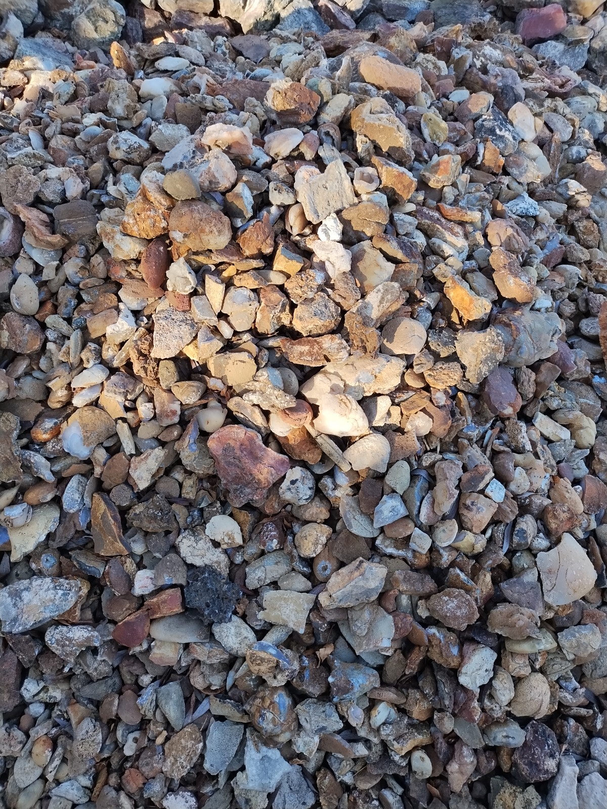 Agate Nodules Nicknamed Potato Agates 10 Pound Lot, Some w/crystals, some solid
