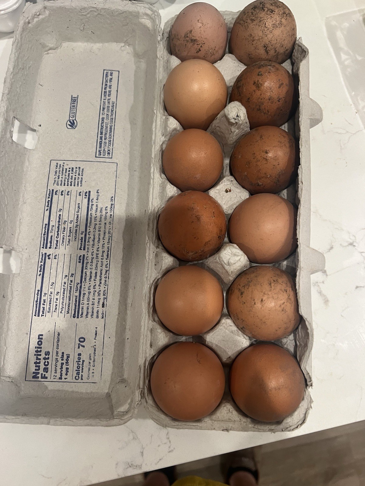 Redstar Chicken Hatching Eggs. Fresh Picked Everyday. Unwashed.