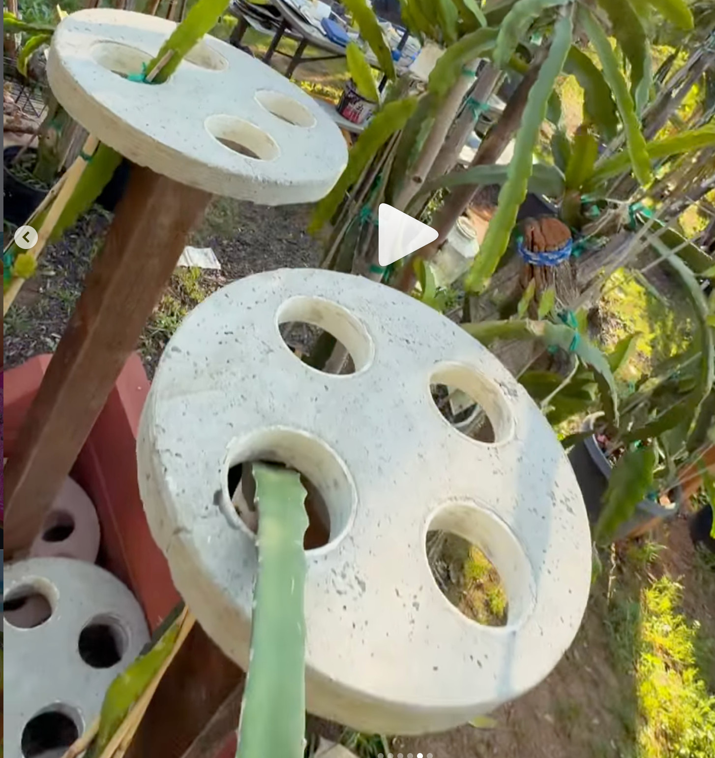 Dragon Fruit Trellis Topper with FREE LED SOLAR LIGHT Screw Direct to 4x4 Post