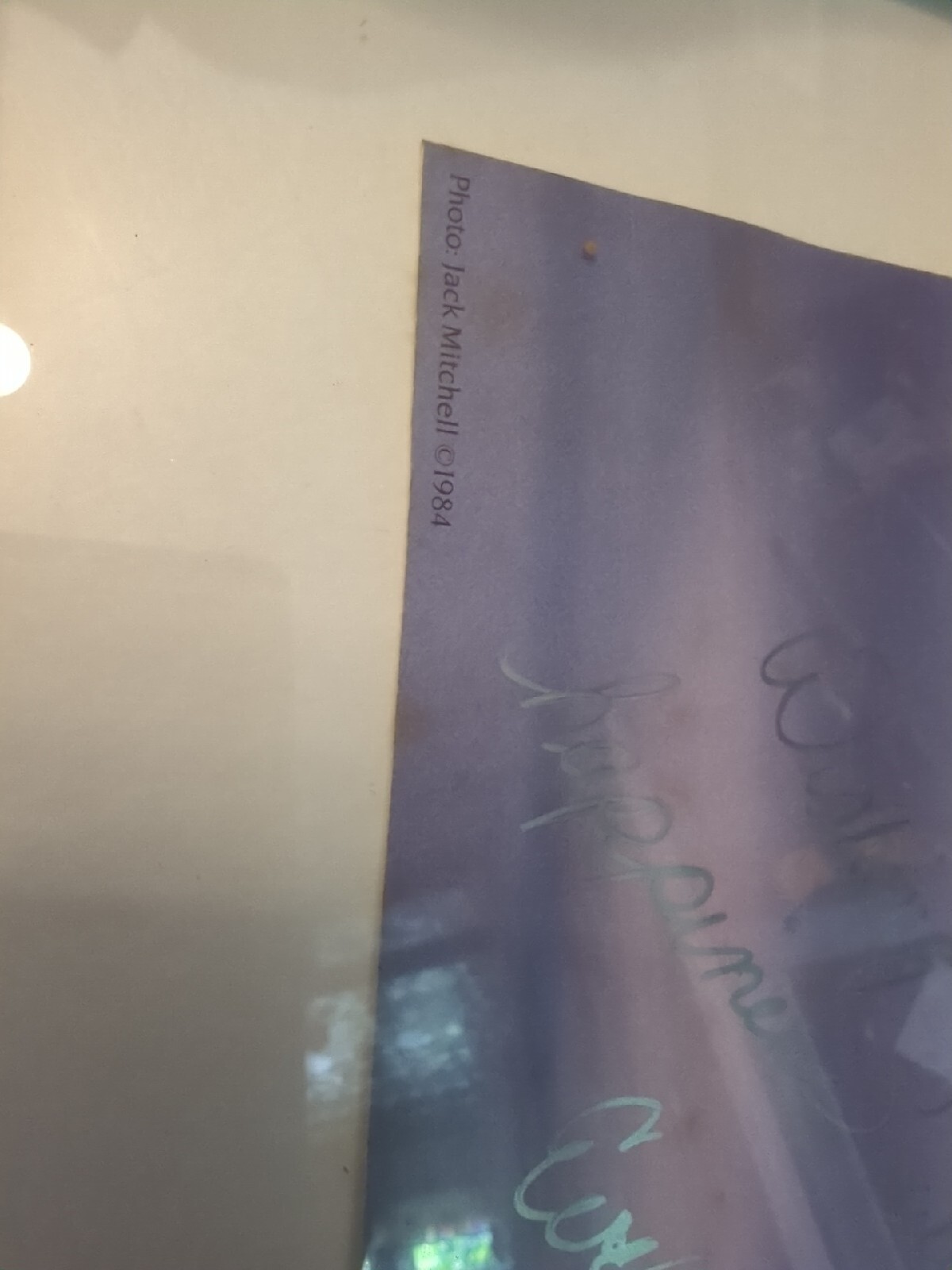 1984 SAN FRANCISCO 52nd BALLET FRAMED POSTER SIGNED EVELYN CISNEROS VTG