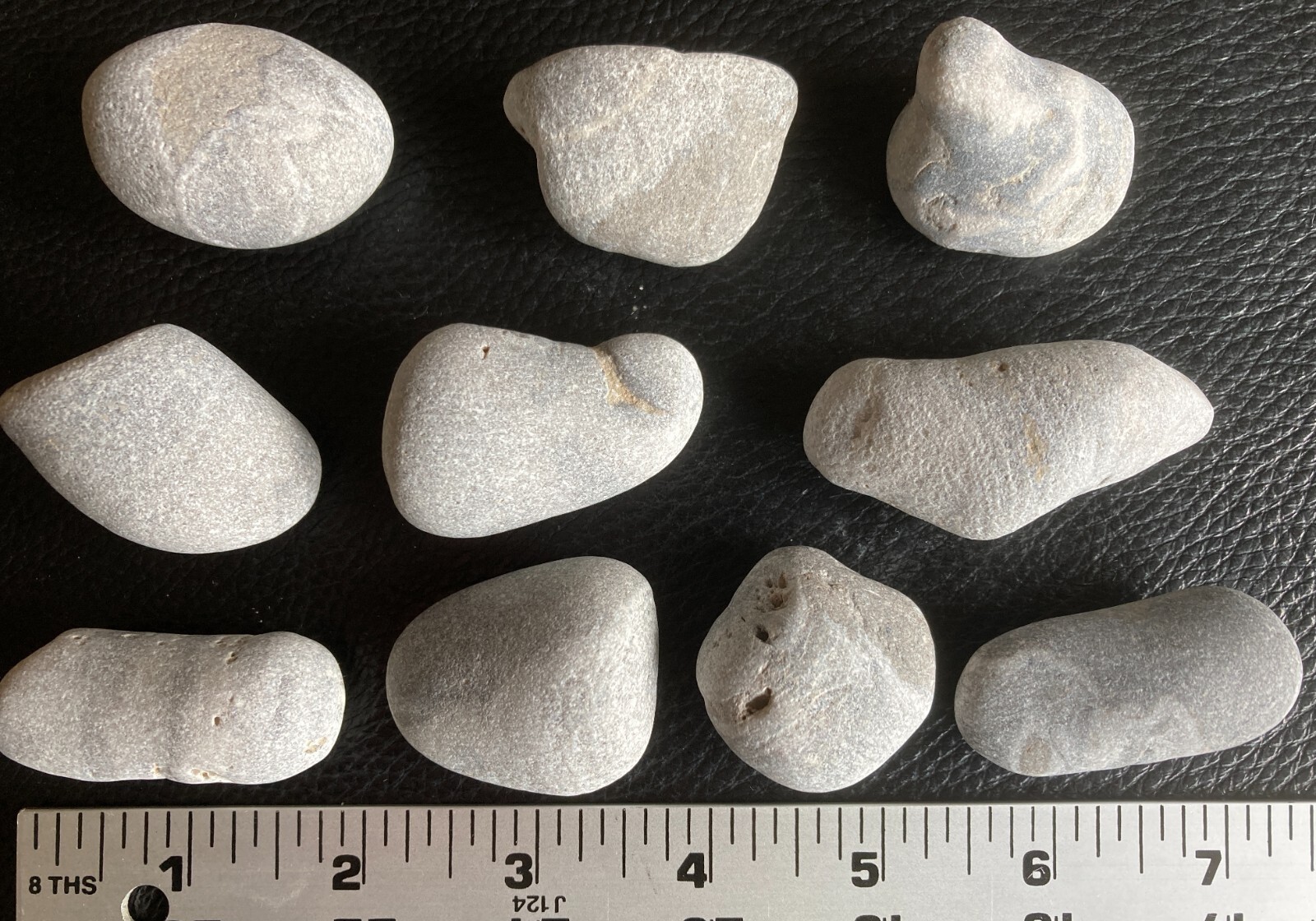 10pc Michigan Horn Coral Fossils (Rugosa) - Natural Devonian Fossils 12oz