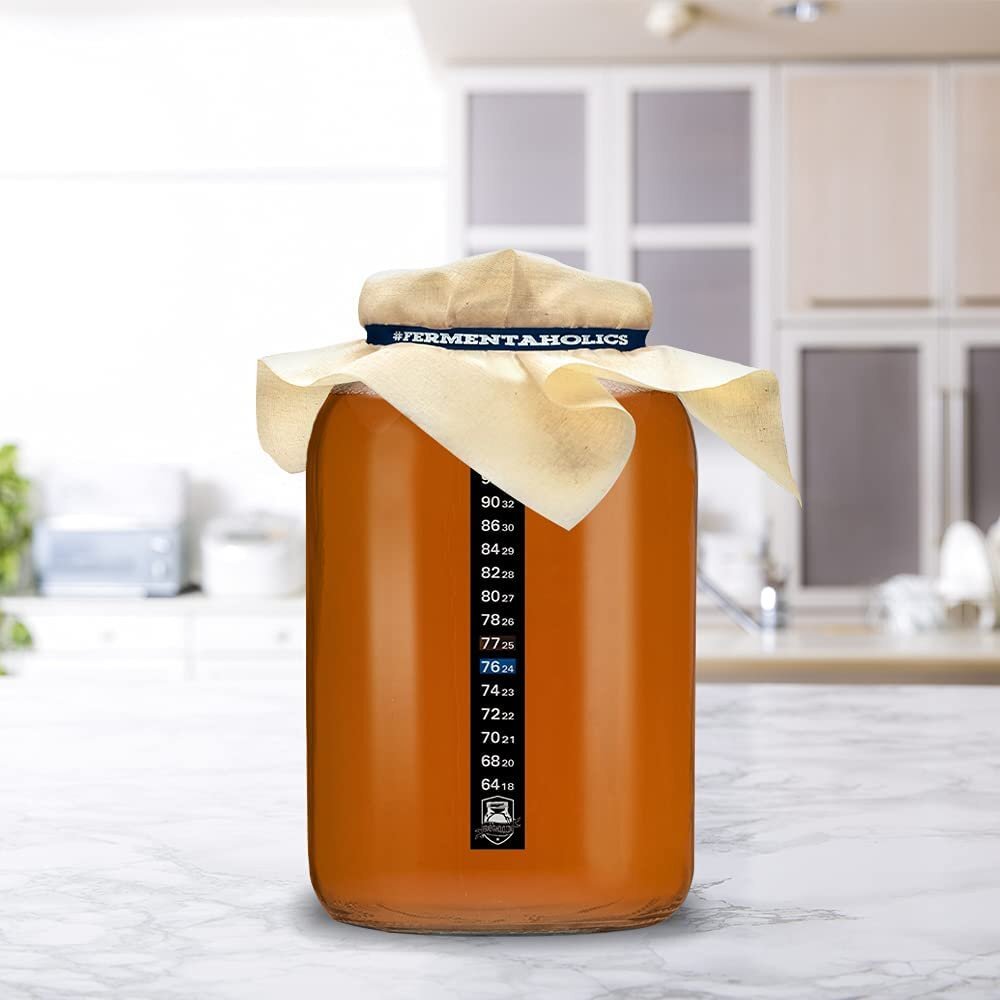 2 Pack, One Gallon Glass Jars with Muslin Cloth Covers & Rubber Bands