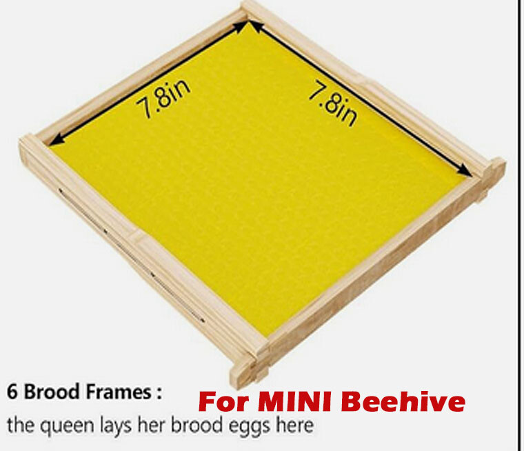 10X Auto Honey Hive Beehive Frames + Beekeeping Brood MINI 2 Layer Box House