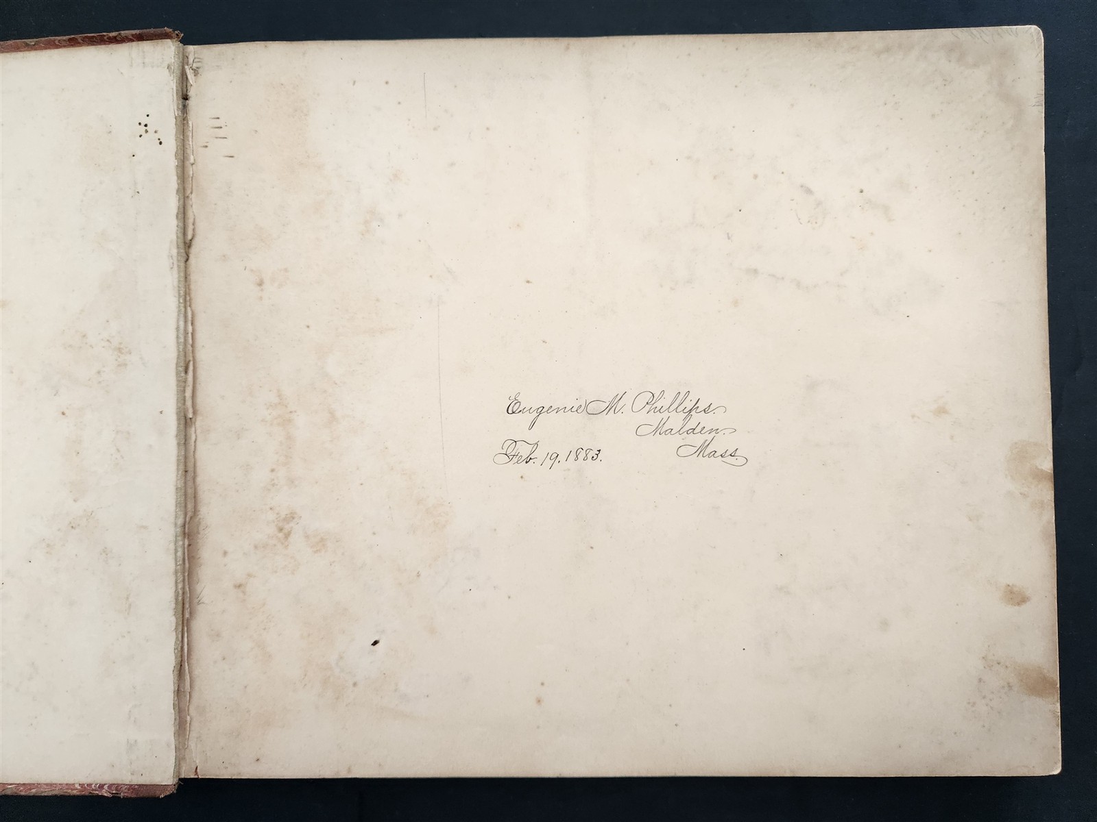 1883 antique SEAWEED pressed ALBUM monterey ca EUGENIE PHILLIPS specimen book