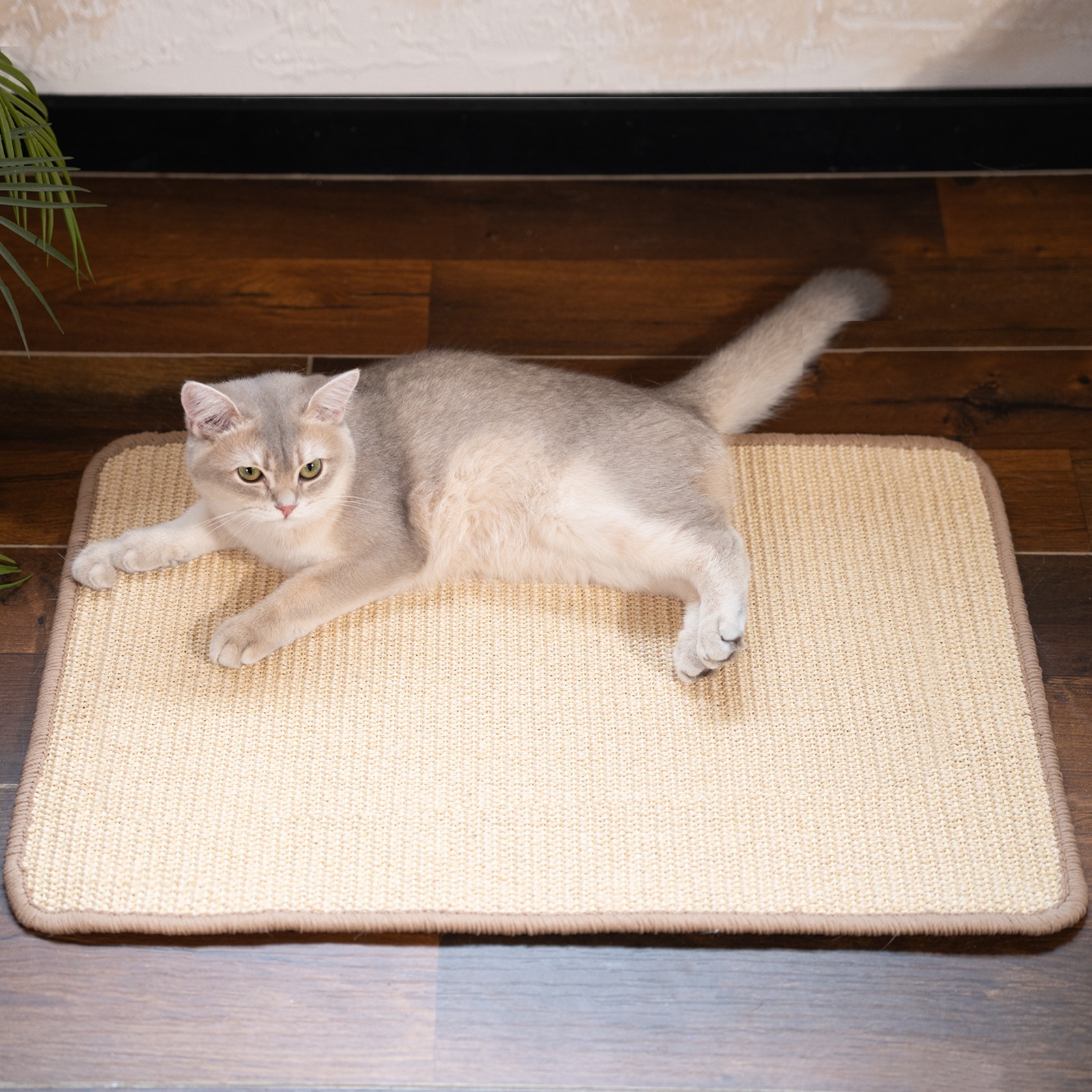 Cat Scratcher Mat, 23.6 X 15.7 Inch Sisal Cat Scratch Pad, Furniture Protection