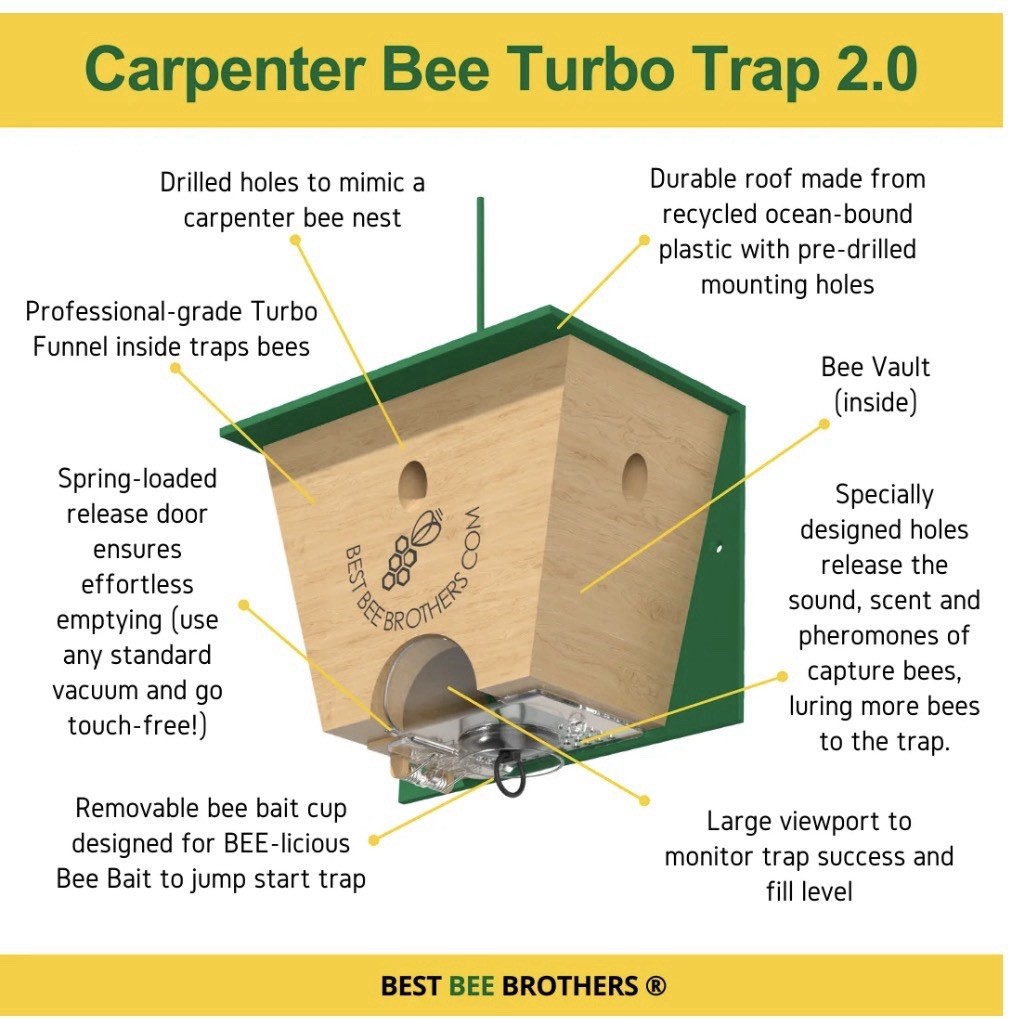 BEST BEE BROTHERS Carpenter Bee Turbo Trap 2.0 Professional Grade