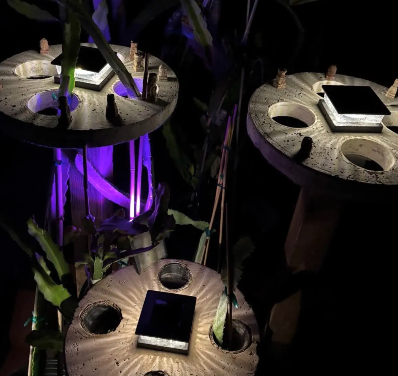 Dragon Fruit Trellis Topper with FREE LED SOLAR LIGHT Screw Direct to 4x4 Post