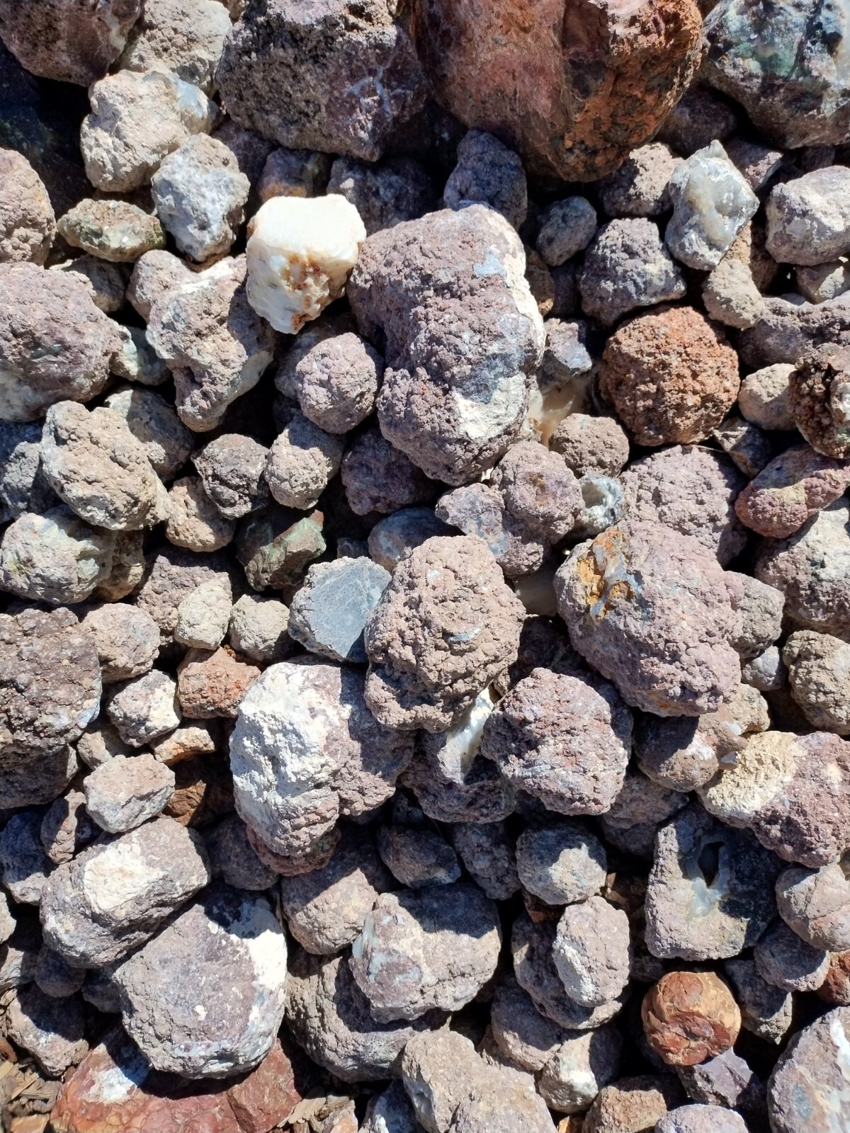 Thundereggs, Oregon, 4 Pound lot, Whole Uncut Rough, Agate