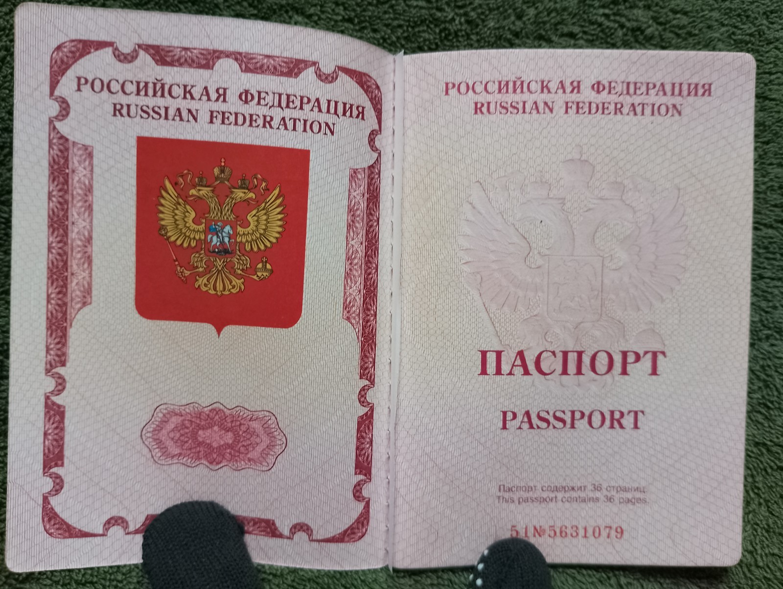 Two foreign travel passports belonging to a female Russian citizen.