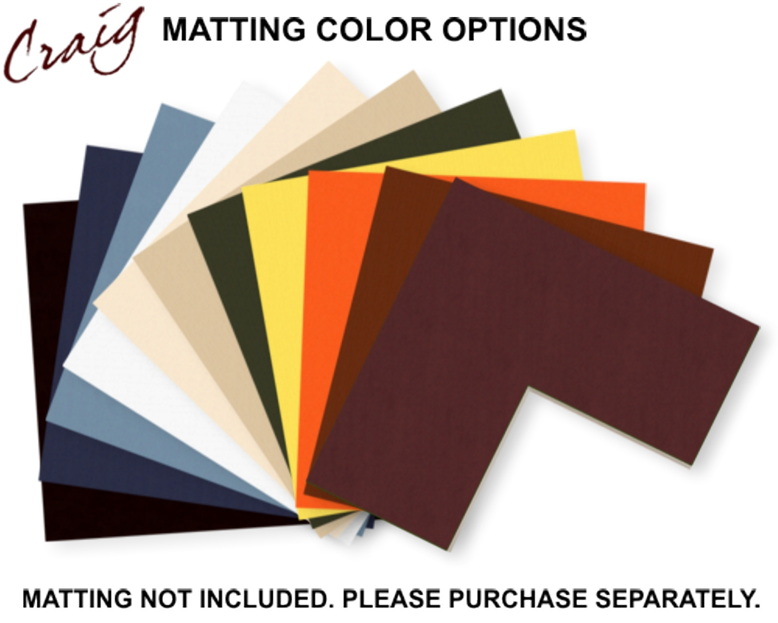 Craig Frames Complete 7x12 CD Display Black Frame with Glass and Matting