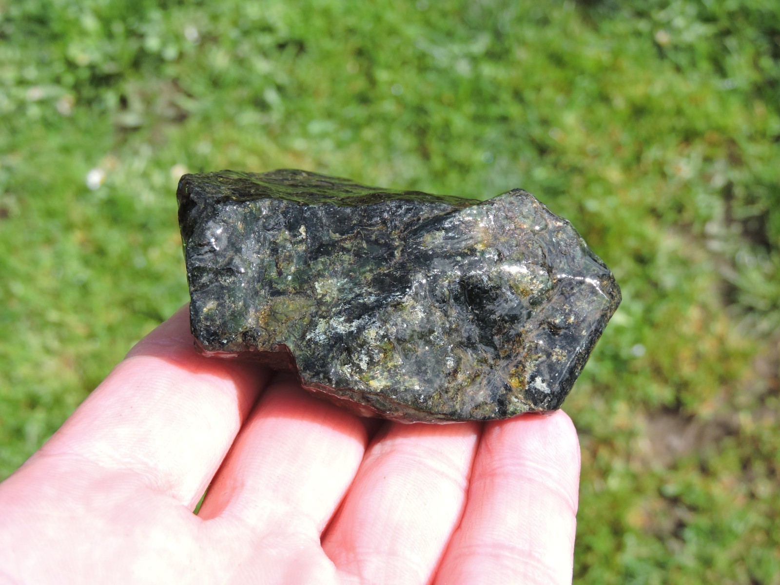OREGON DARK GREEN SERPENTINE Rough Stones. *MAGNETIC* 100% Natural (8 lb)