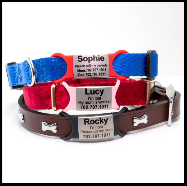 Custom Dog Tag for Pets Engraved Name Tag Slide On ID Tags & Collar Tags S, M, L