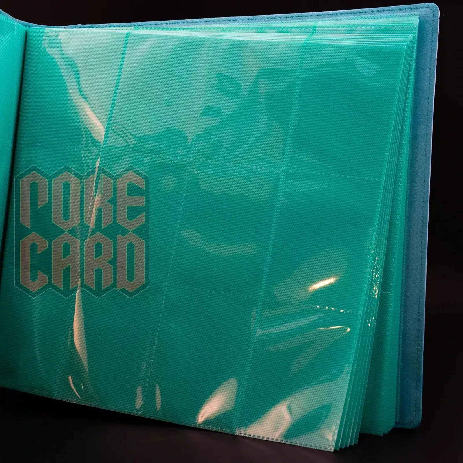 Lot 3 Pokemon S-Chinese Flareon Jolteon Vaporeon Eevee GX 480 slots Card Binder