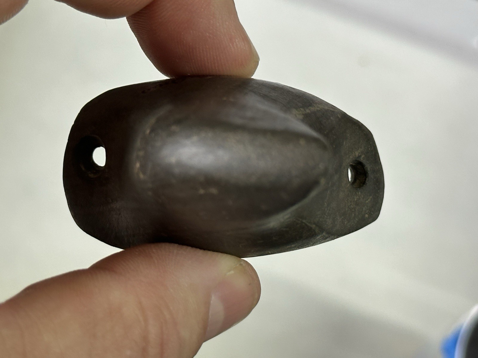 RARE AUTHENTIC BANDED SLATE BIRDSTONE FROM ASHLAND CO. OHIO, MOTLEY COA