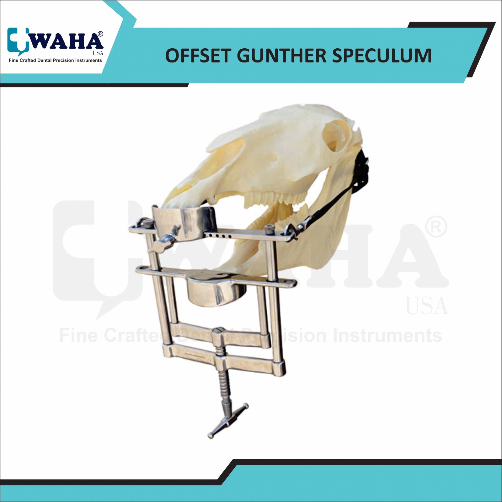 Offset Gunther Mouth Speculum Equine Dental With Biothene Straps Stainless Steel