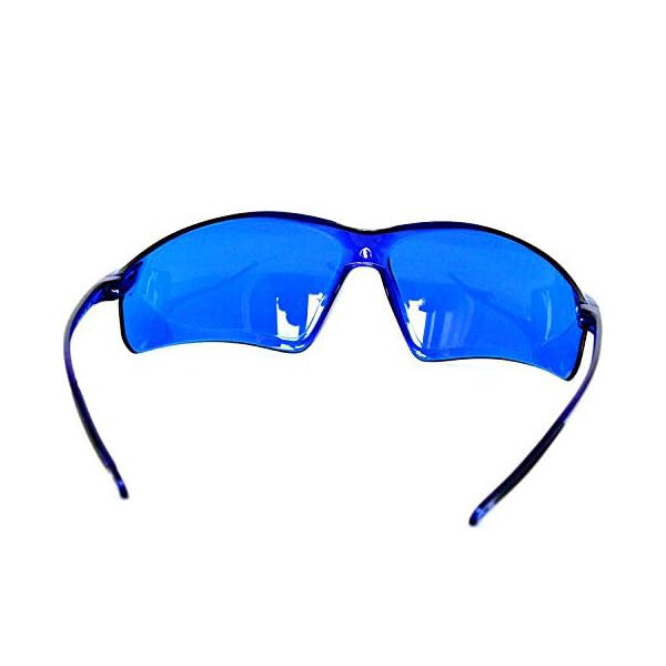 1~10Pack Mushroom Finding & Antler Shed Hunting Blue Hunting Finder Glasses USA