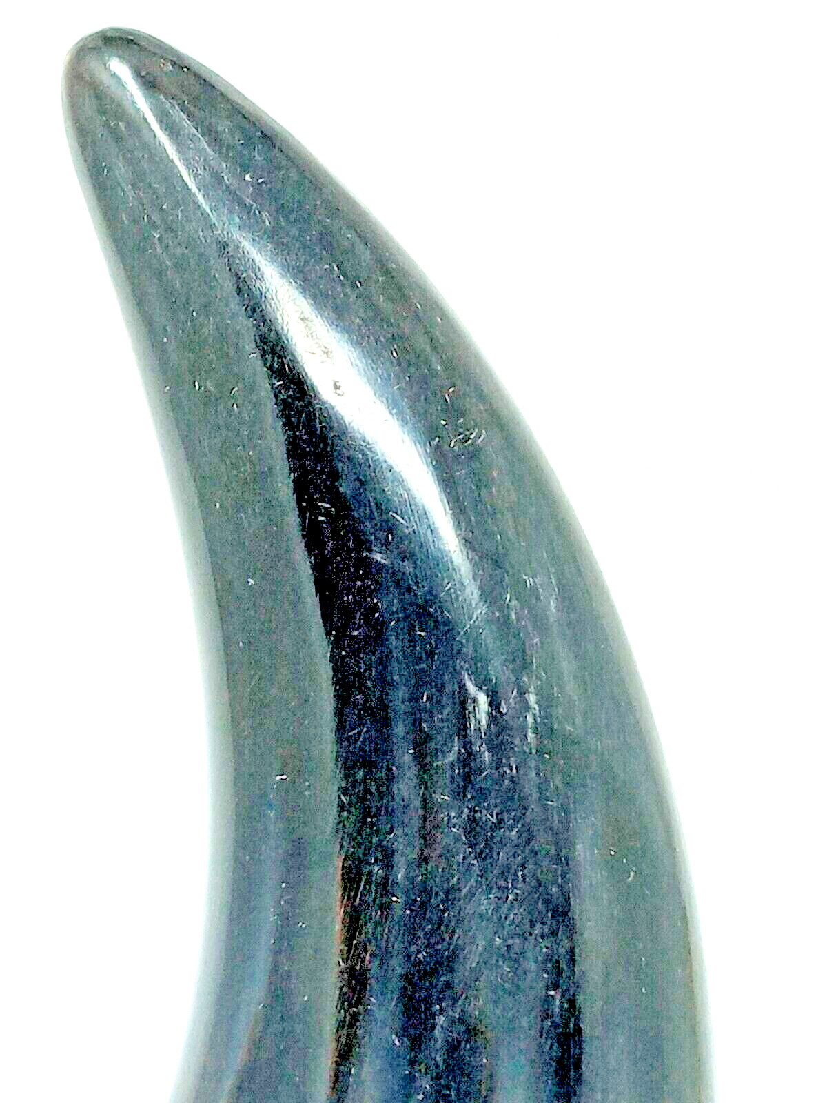 Drinking Horn Meadery Natural Cow / Steer horn euc black and blonde color