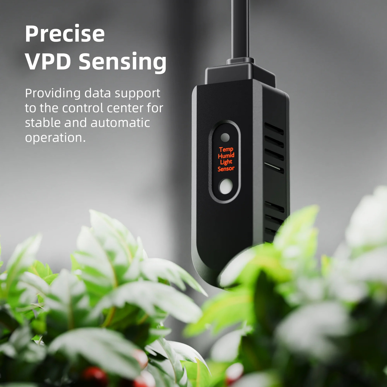 Spider Farmer 5L Air Humidifier Ultrasonic Cool Mist Humidifier with RJ12 Cable