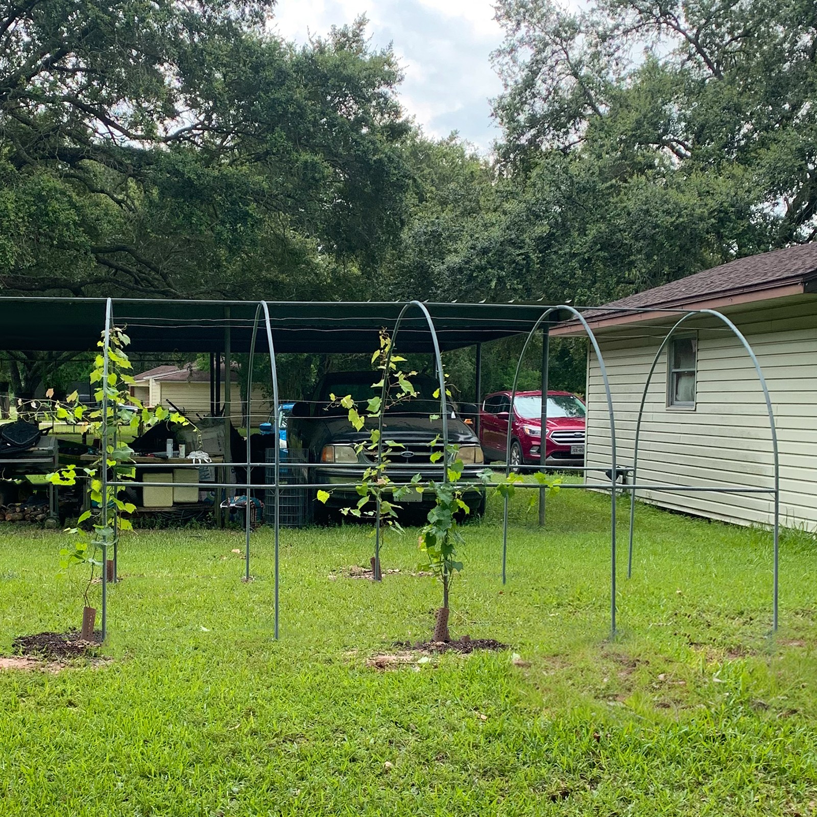 Large Size Steel Garden Arch Rose Arbor Climbing Plant Grape Support Frame Yard