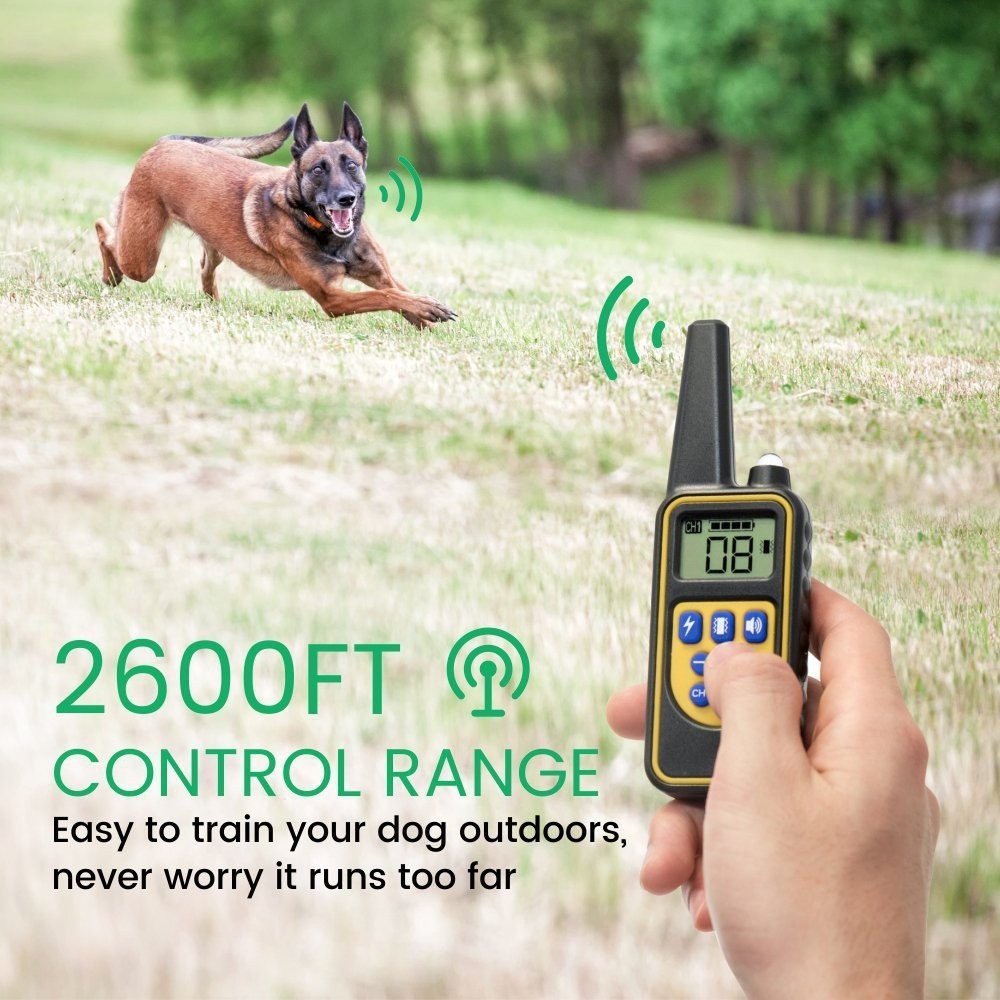 Dog Shock Training Collar Rechargeable Remote Control Waterproof IP67 875 Yards