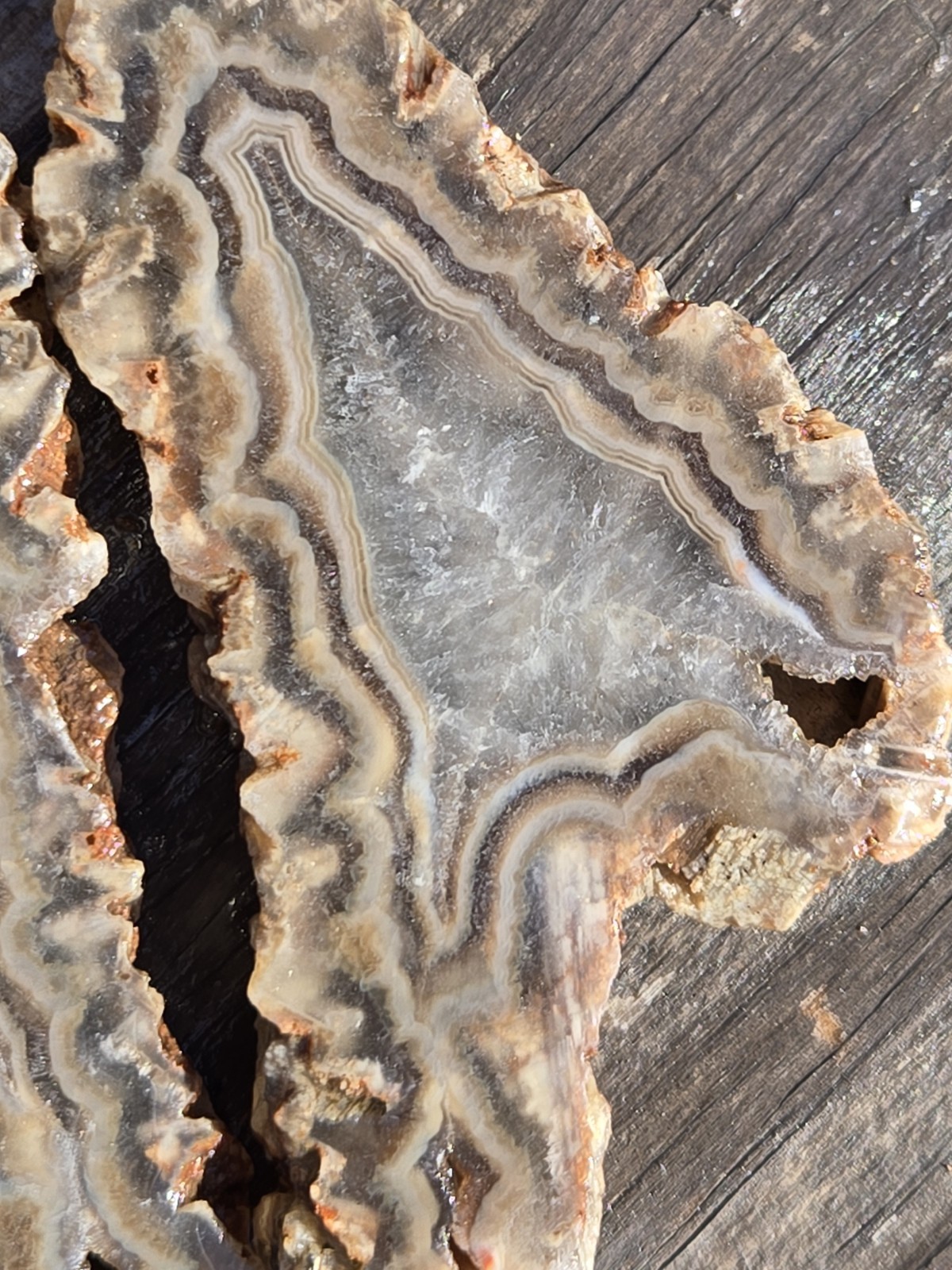 Turkish Agate Slabs Slices From One Stone Matching Lapidary Unique