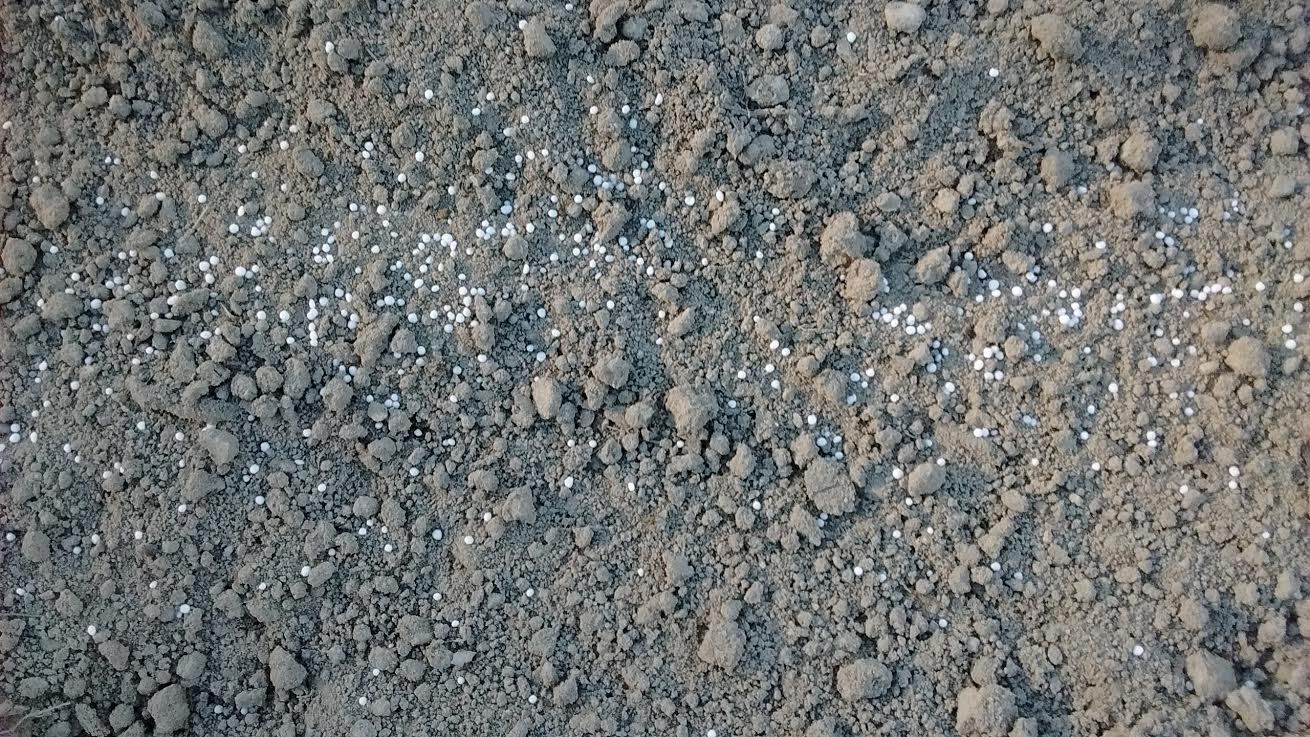 Urea 46-0-0 Prilled Commercial Grade 99.9 % Pure