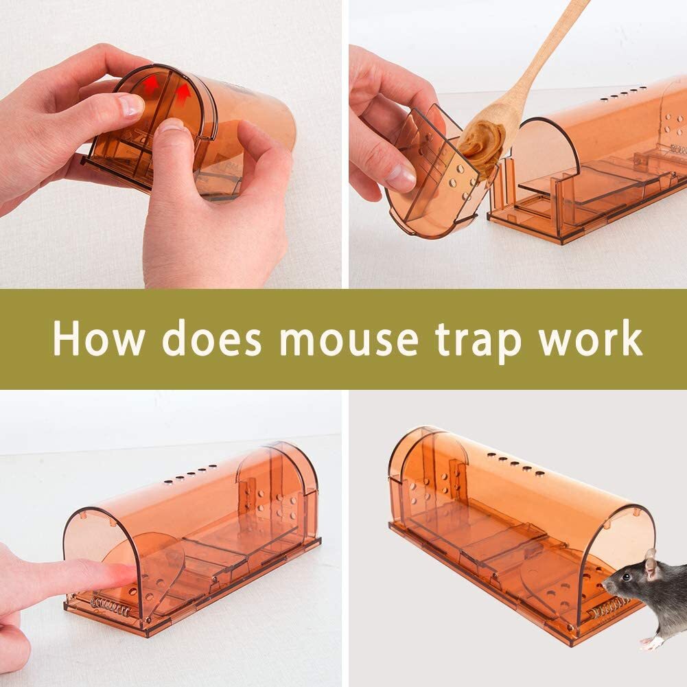 Humane Mouse Traps - 2 Pack - Live Catch and Release - #1 Best Selling Mousetrap