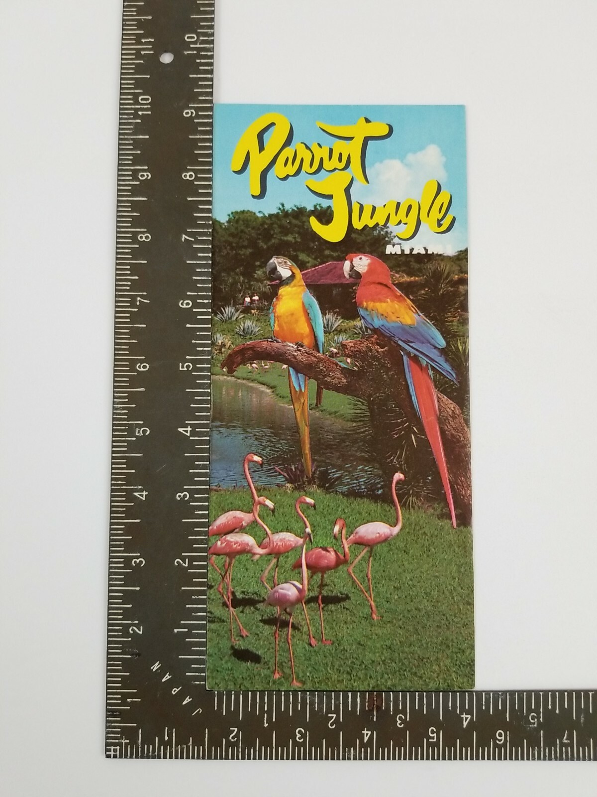 Vintage PARROT JUNGLE Miami Travel Guide Brochure