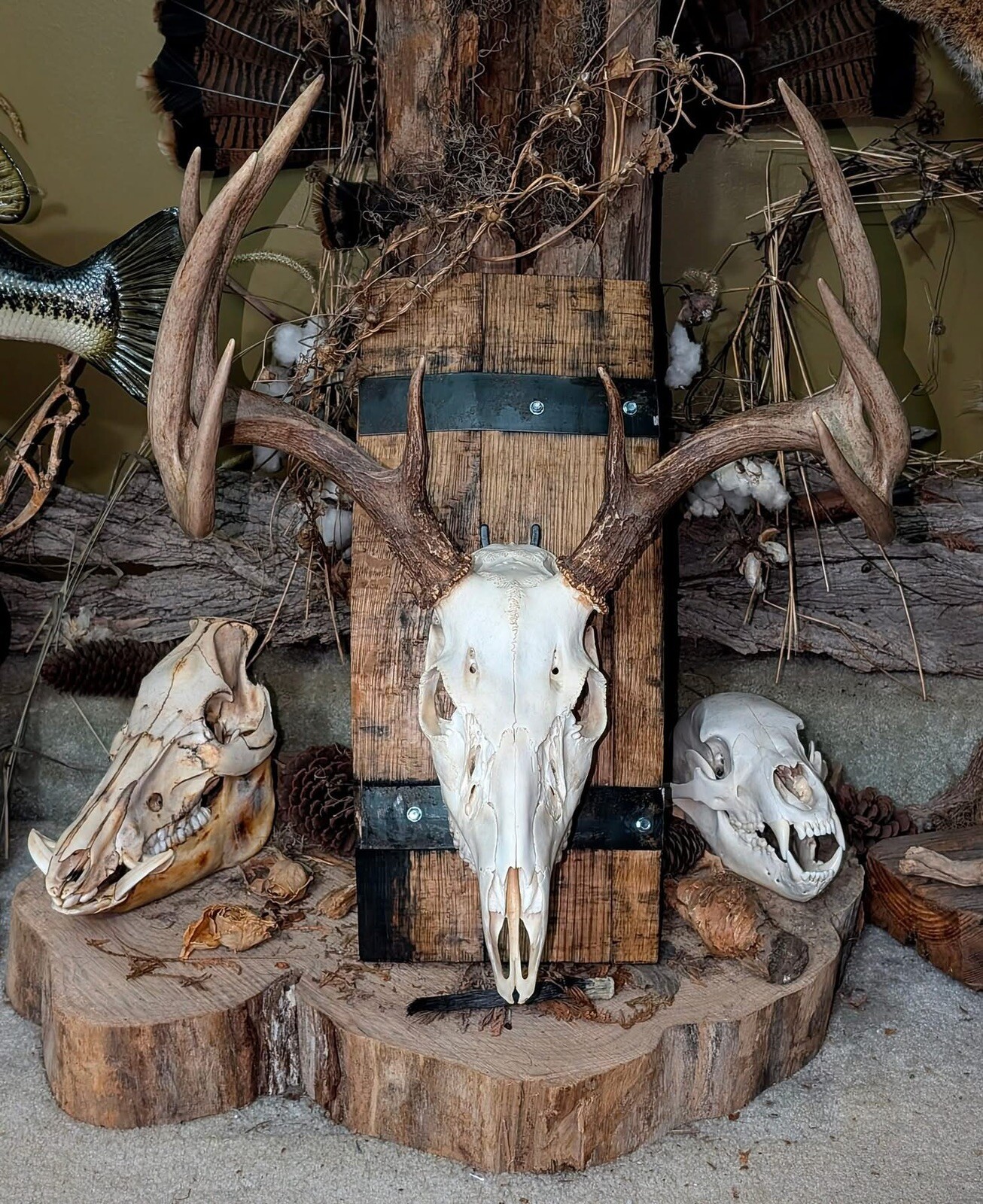 Rustic Barrel European Deer Skull Mounting Plaques