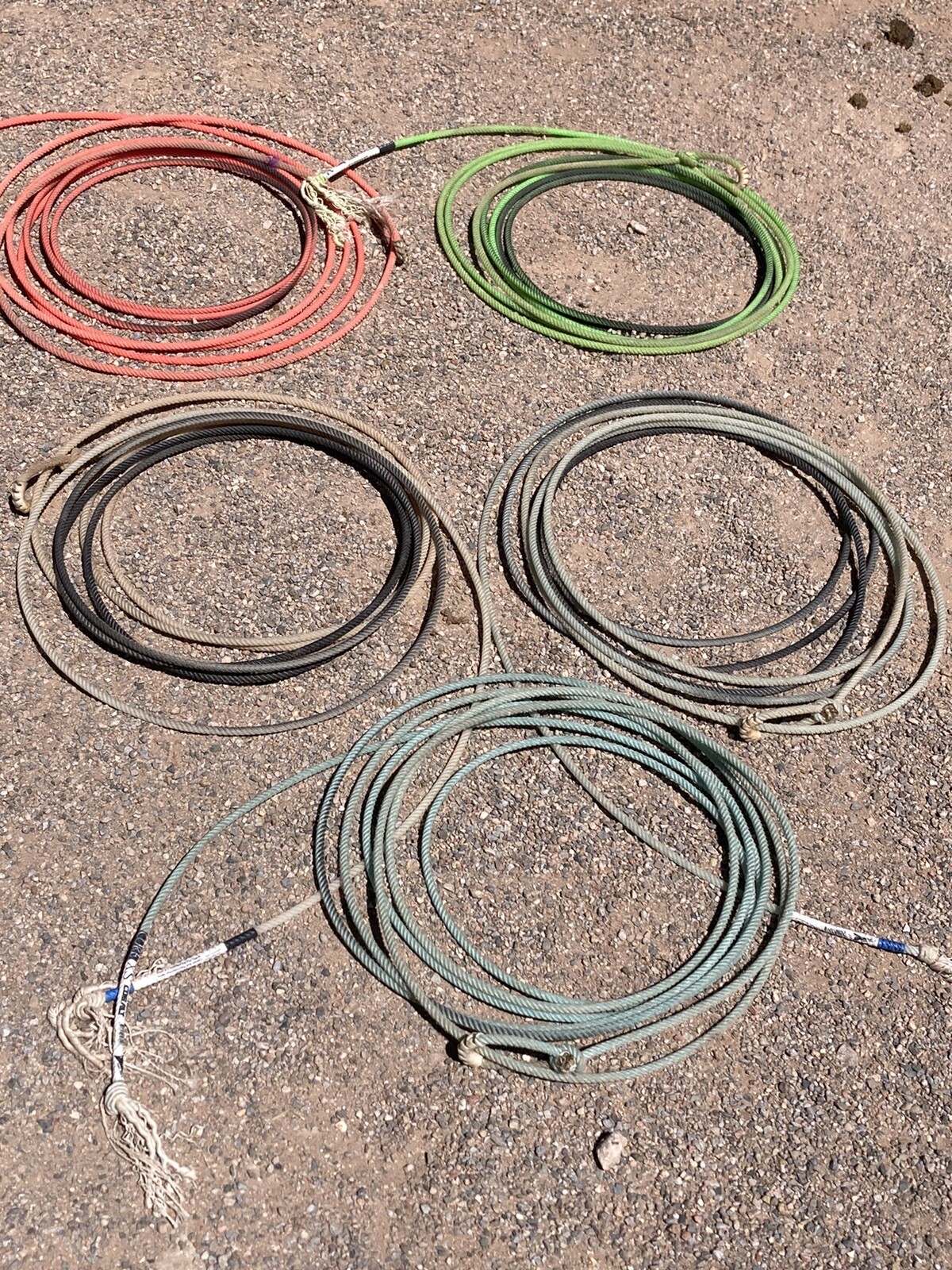 Used Cowboy Lariet/team Rope Bundle Of 5