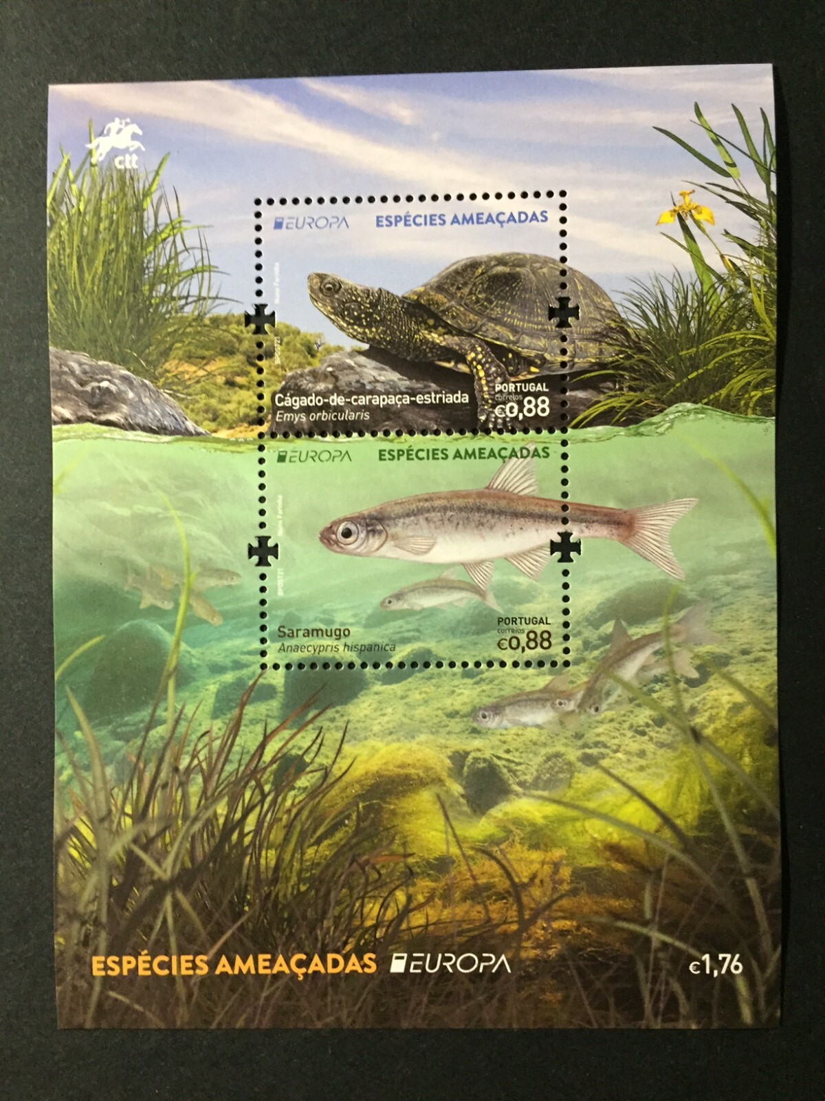 Portugal 2021 - Europa Portugal - Endangered Species - Fish, Turtle S/S MNH