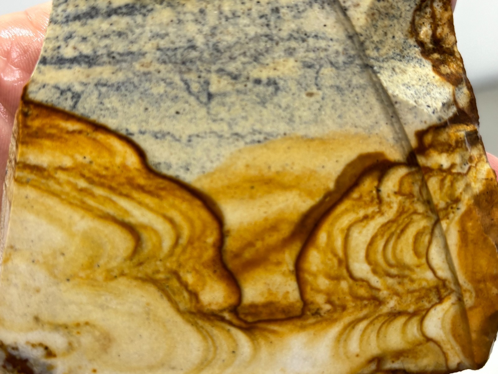 Disaster Peak Picture Jasper end slab Cabbing Lapidary Collecting Combo Ship Avl